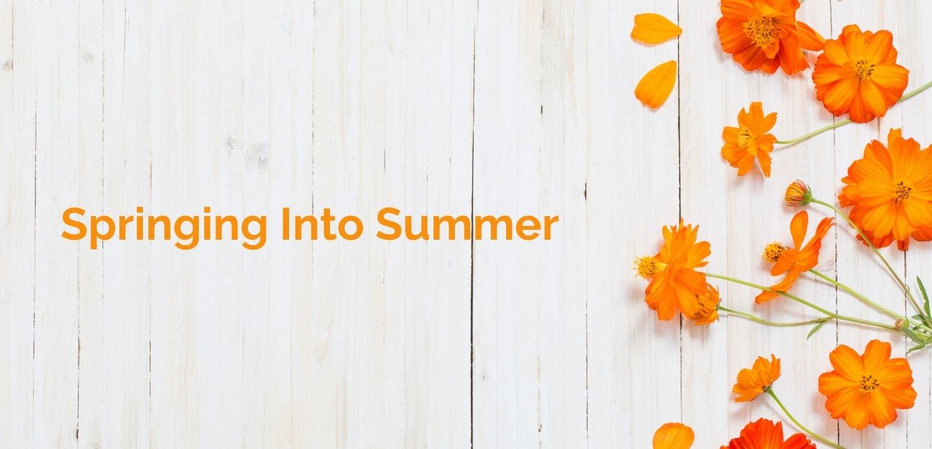 Sprining Into Summer with orange flowers on white background